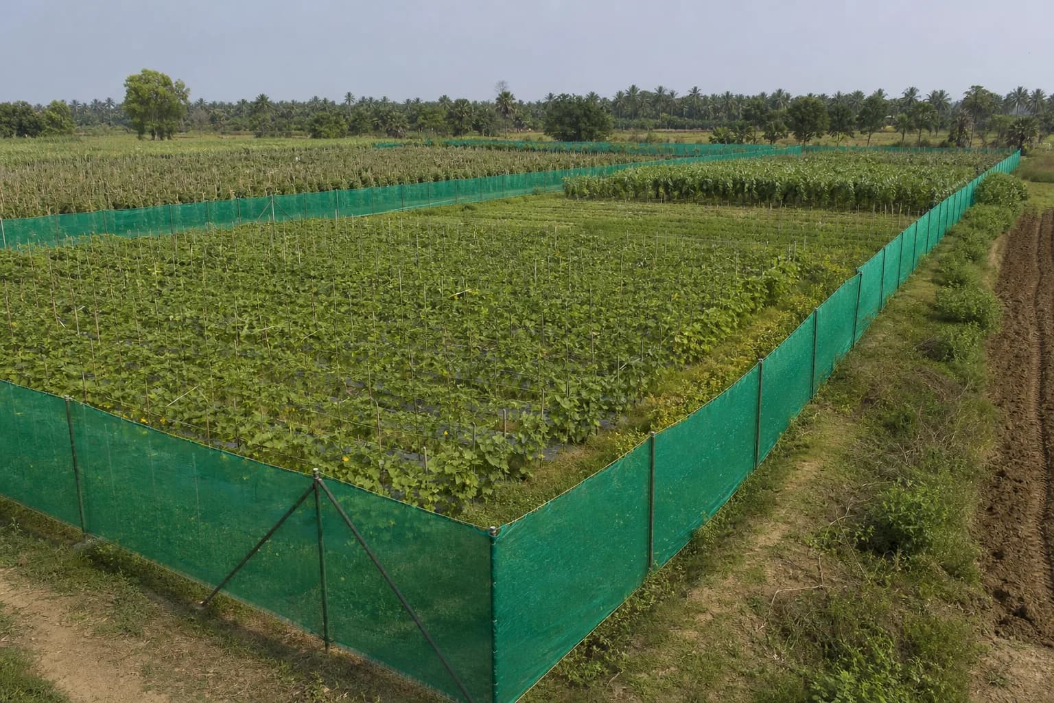 Agriculture & Garden products