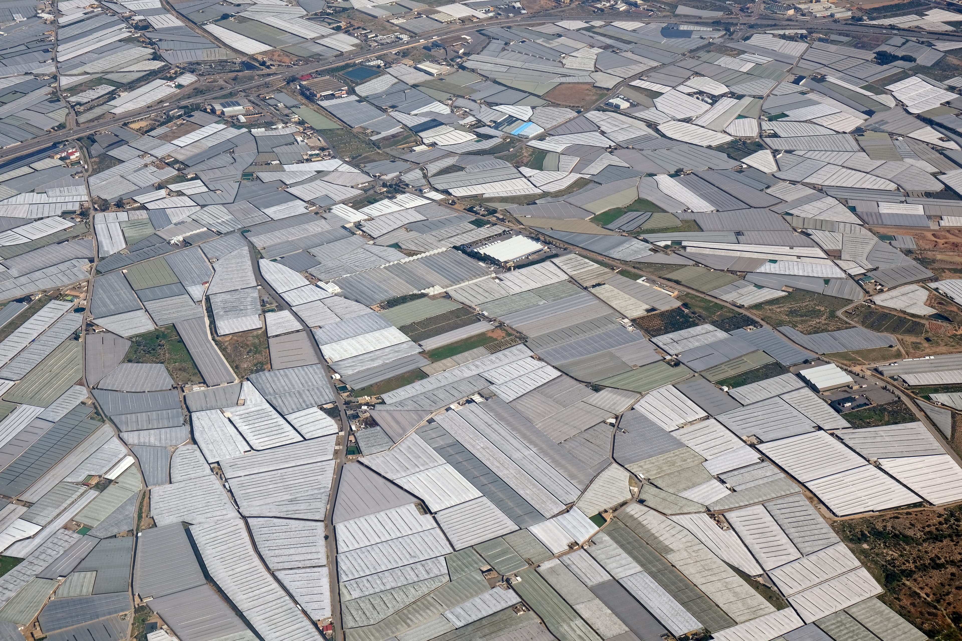 Greenhouse and agricultural netting by Tirumala Industries