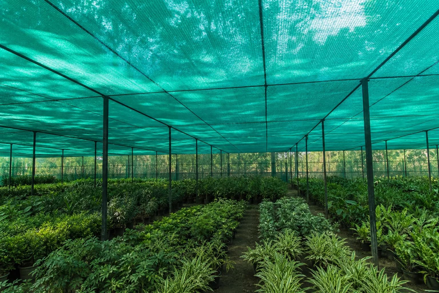 Agro Shade Net
