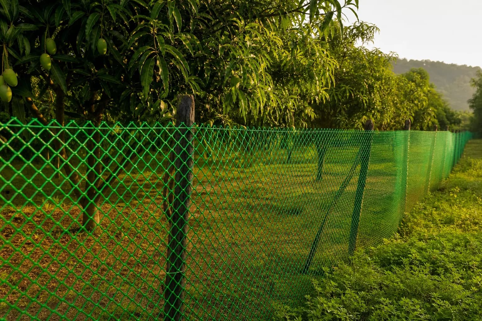Gardening Fence